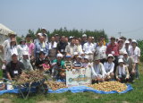 ジャガイモの収穫祭