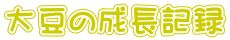 大豆の成長記録