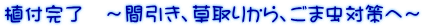 植付完了　～間引き、草取りから、ごま虫対策へ～
