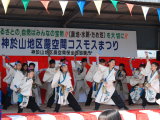 神於山地区でコスモス祭り