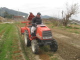 20120119_001-s.jpg
