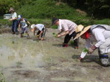 20130616_006-s.JPG